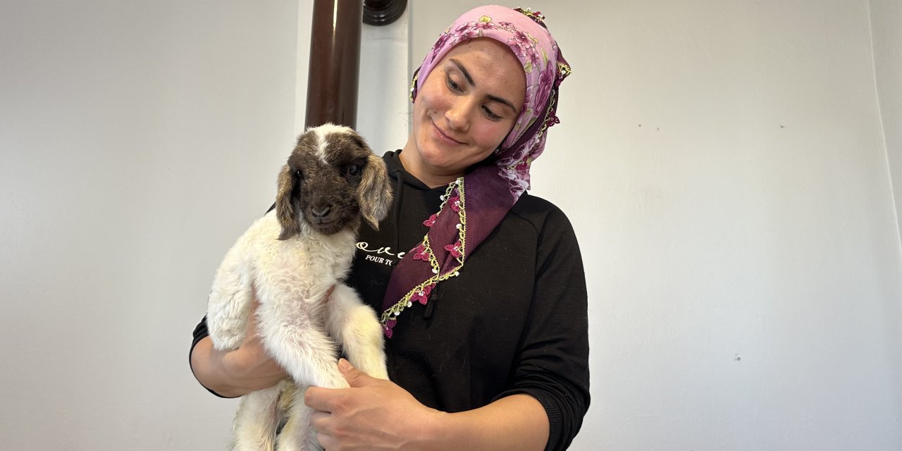 Annesiz kalan kuzu ailenin ‘Umut'u oldu