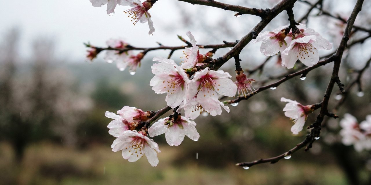 Cemre Takvimi Netleşti: Şırnak’ta Baharın İlk İşaretleri Şubat Sonunda Başlıyor