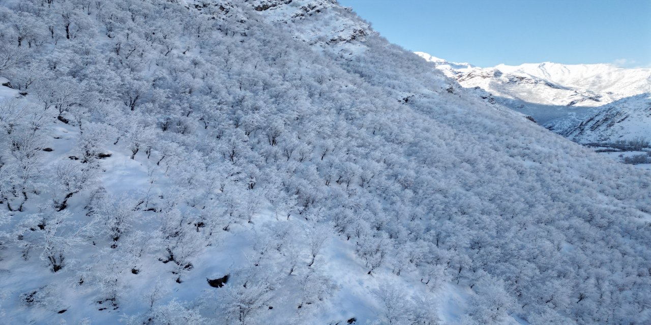 Akarsular Bile Buz Kesti! Eksi 14 Derecede Hayat Dondu: Görenler Gözlerine İnanamadı