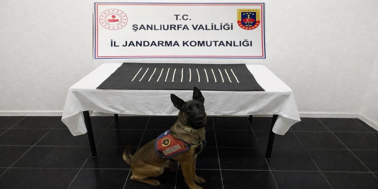 Harran'da uyuşturucu operasyonu: 2 gözaltı
