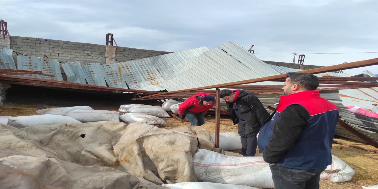 Şırnak’ta Olumsuz Hava Şartları Büyükbaş Çiftliğinde Hasara Neden Oldu