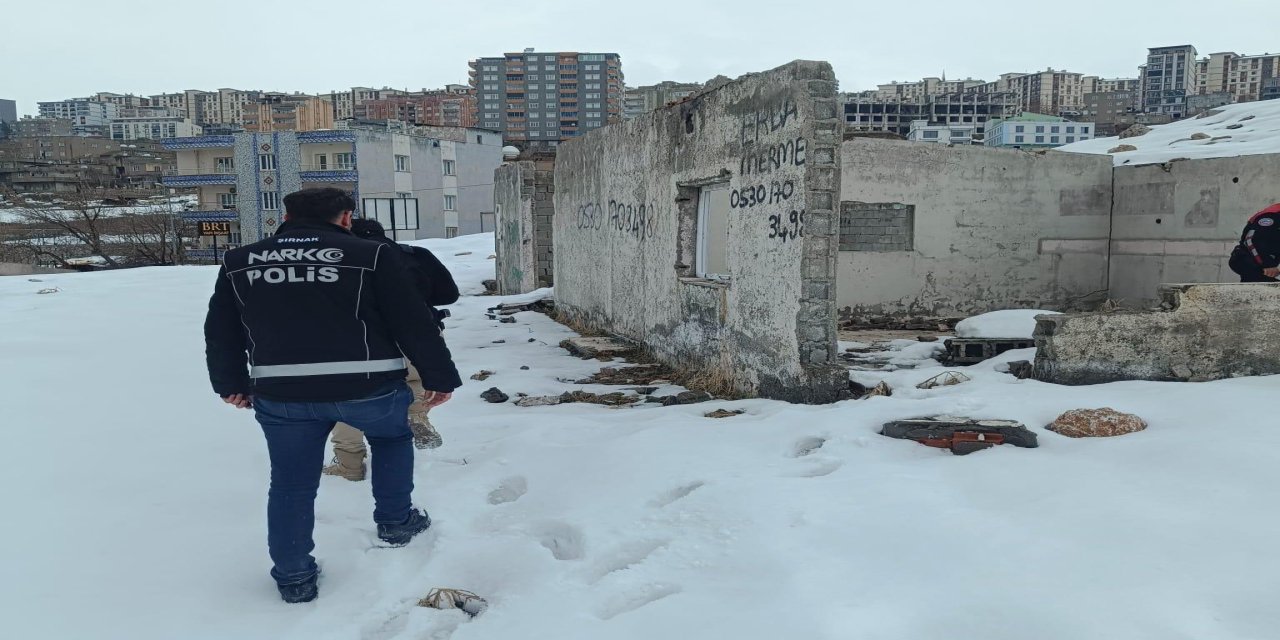 Şırnak'ta Şafak Vaktiyle Başladı, 6 İlçede Düğmeye Basıldı! Zehir Tacirlerine "Narko Alan" Darbesi