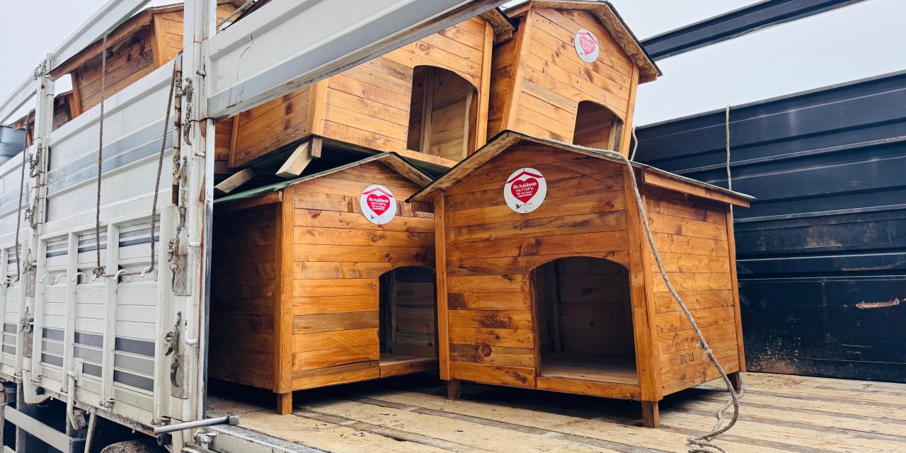 HAYTAP’tan Şırnak’taki Sokak Hayvanlarına Anlamlı Destek