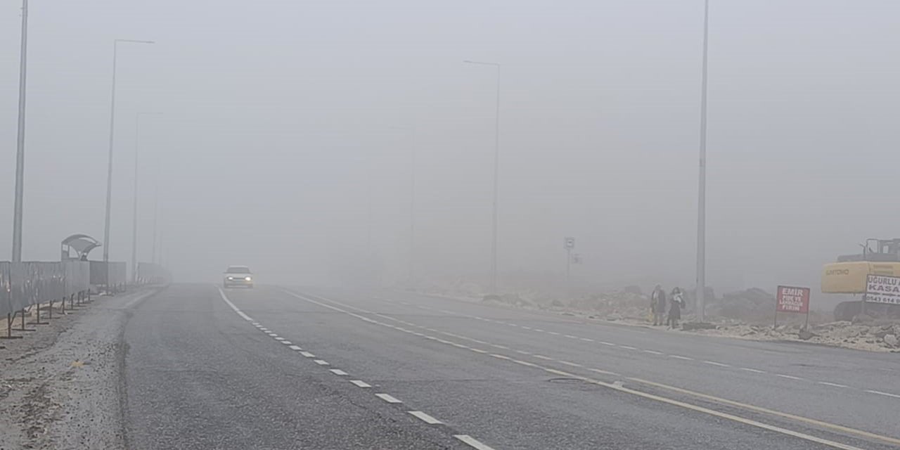 Şanlıurfa'da yoğun sis ve yağmur etkili oluyor