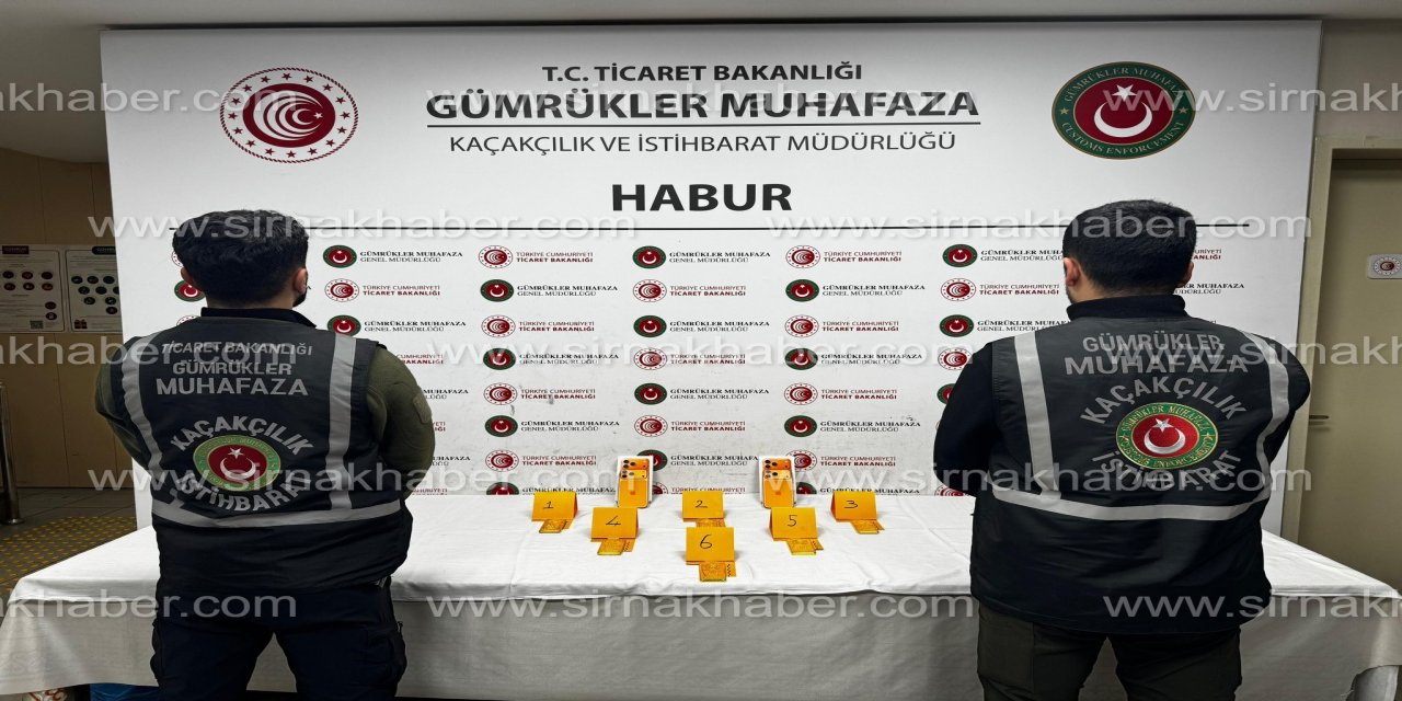 Habur Sınır Kapısı’nda Milyonluk Altın Operasyonu