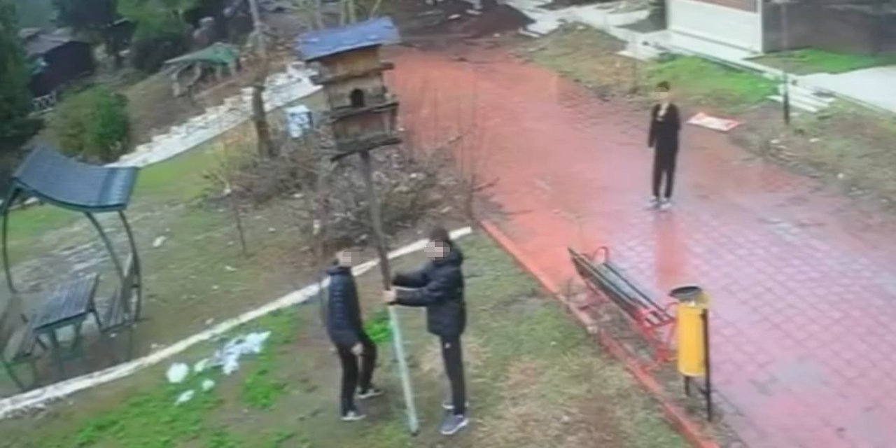 Adana'da parktaki kuş yuvasını parçaladılar