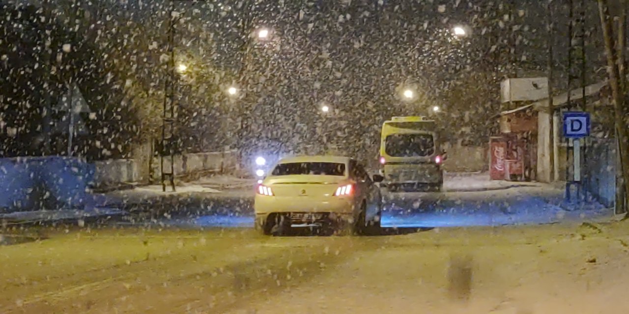 Van'da lapa lapa kar yağdı