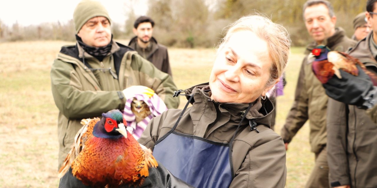 81 binden fazla göçmen kuş halkalandı