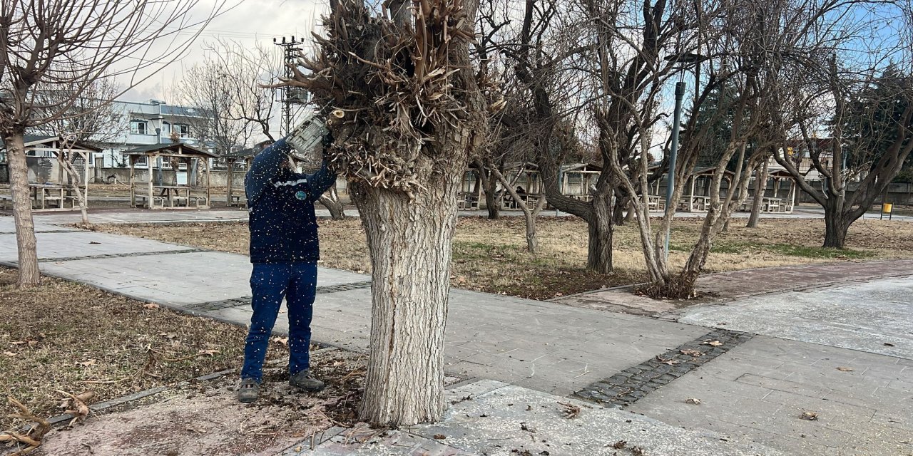 Silopi’de Yeşil Alanlara Bakım Sürüyor