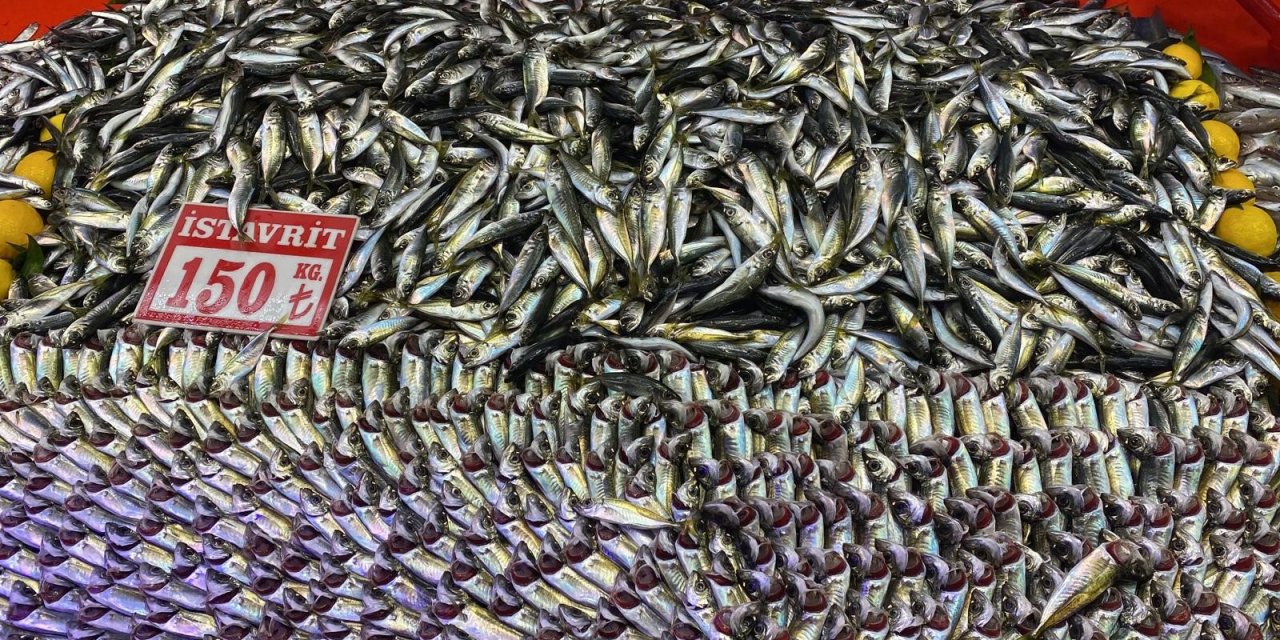 Balık tezgahlarında hamsi bolluğu