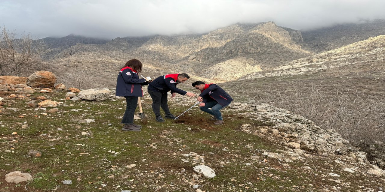 Şırnak’ta Ticaret Alanı ve GES Projeleri İçin Arazi Etüt Çalışmaları Tamamlandı