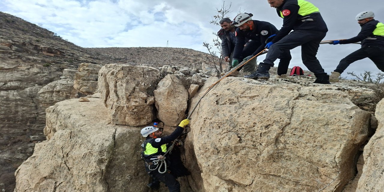 Siirt'te üç gündür mahsur kalan keçi dağcılar tarafından kurtarıldı