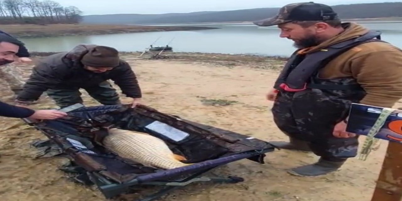 Sudan Çıkan Dev Heyecan Yarattı! "Fatih" Adı Verilen Dev Balık Özgürlüğüne Kavuştu