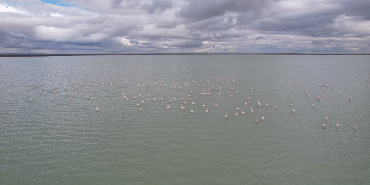 Gökyüzünden Gelen Pembe Mucize! Kuraklığın Ardından Doğa Yeniden Doğdu