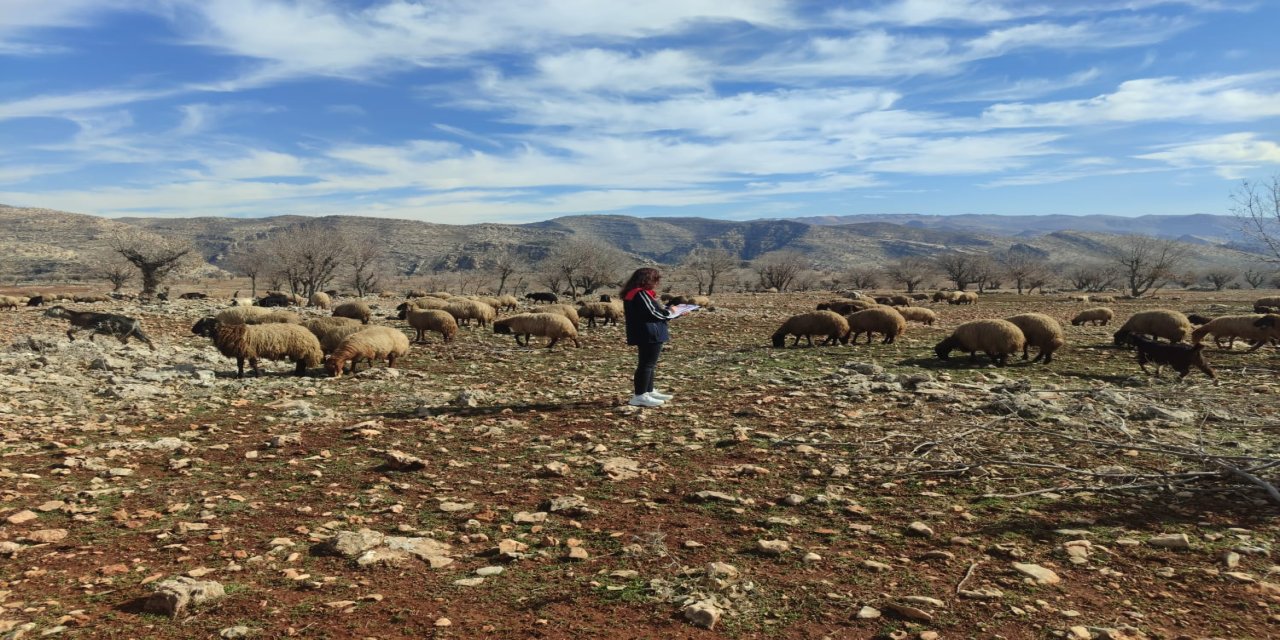 Şırnak'ta Hayvancılığın Geleceği İçin Kritik İnceleme! Sahadaki O Sınırlar Tek Tek Belirlendi