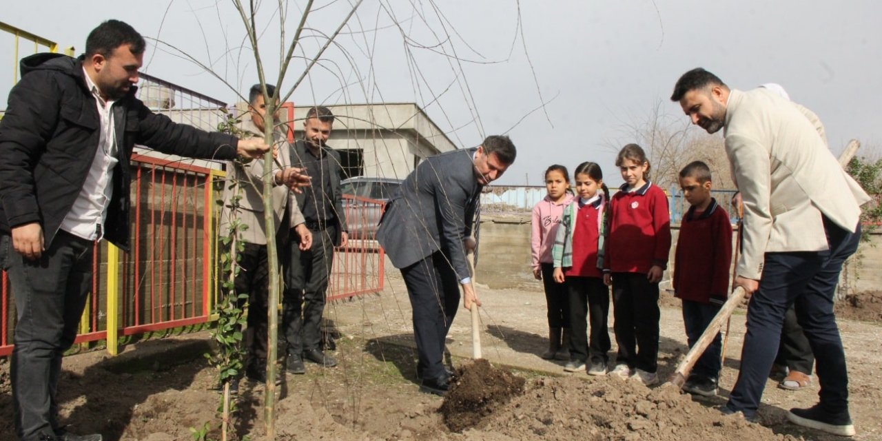 Cizre’de Sınıflarda Eğitim, Bahçede Gelecek var