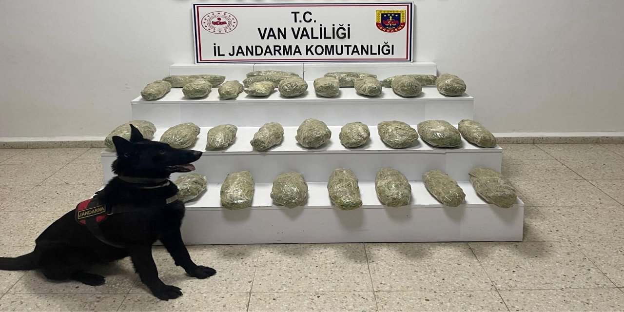 Başkale’de 21 kilo 350 gram skunk ele geçirildi
