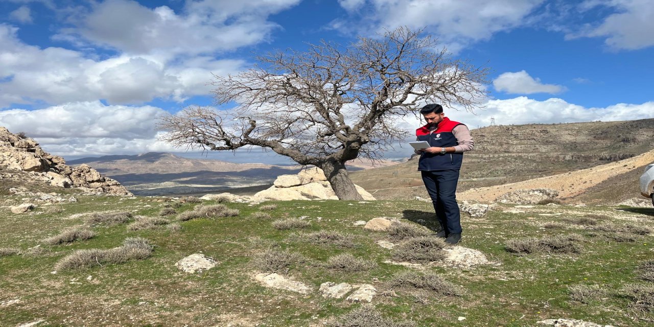 Şırnak’ta Mera Arazisinde İnceleme Yapıldı