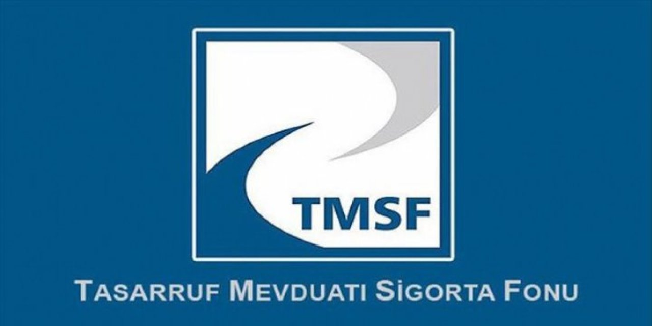 Klon Ödeme Kuruluşu'na operasyon: TMSF kayyum olarak atandı