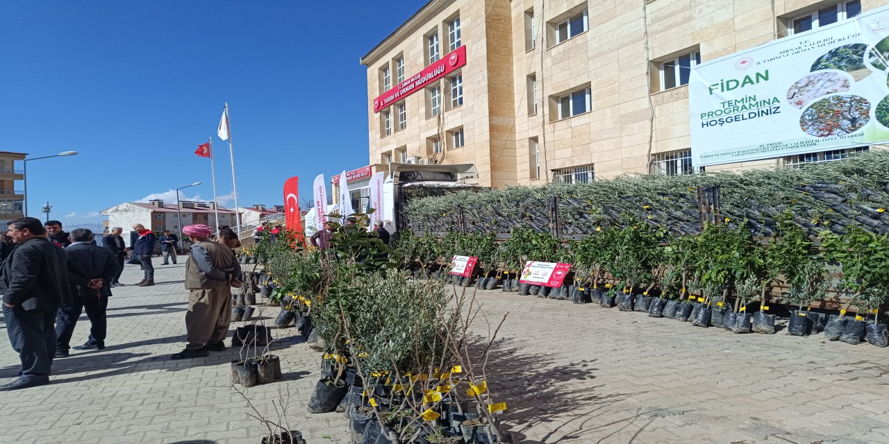 Şırnak’ta 25 Bin 200 Fidan Toprakla Buluştu: Üretime Büyük Destek