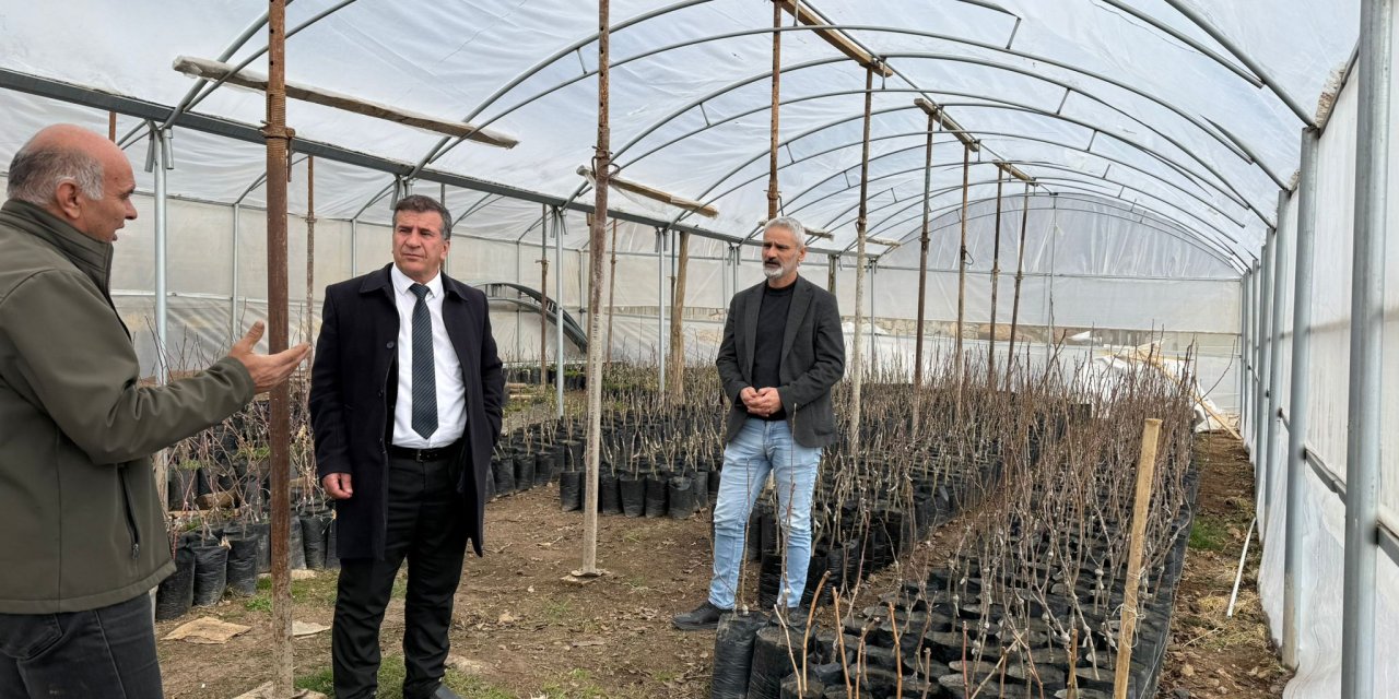 Şırnak’ta Seracılık Atağı: Beytüşşebap’ta Yerli Fide Üretimi Büyüyor