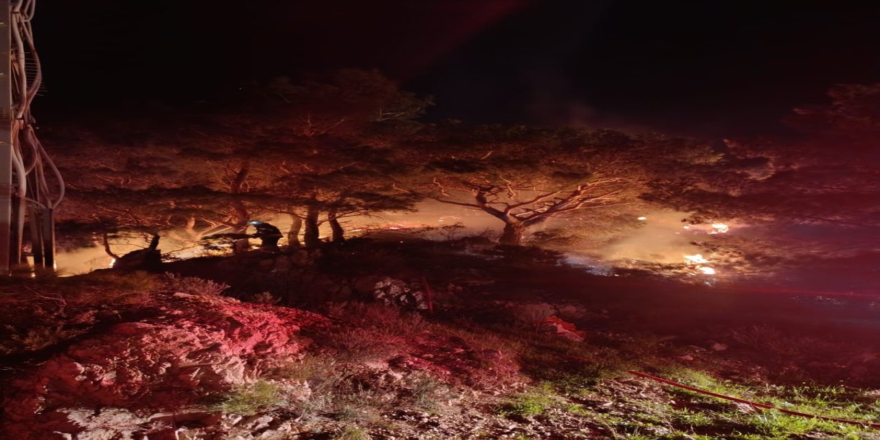 Bodrum'da ormanlık alanda yangın: 2 dönüm alan zarar gördü