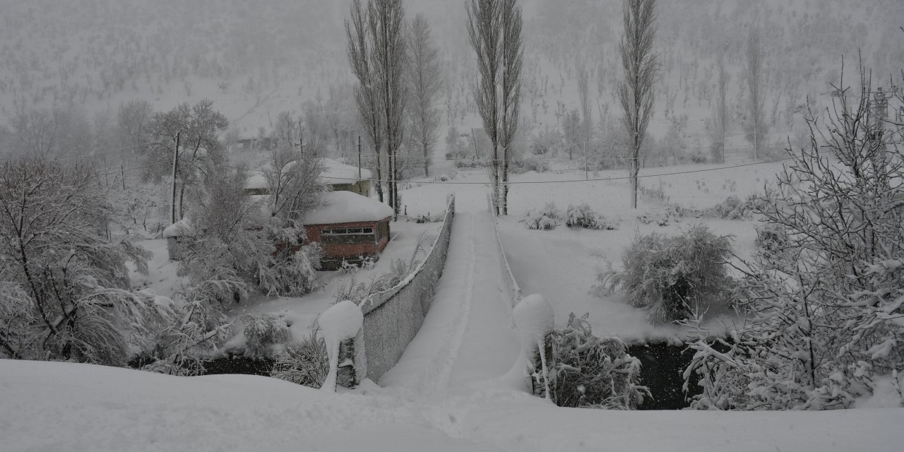 Beytüşşebap ve Uludere ilçelerinde kar yağışı etkili oldu