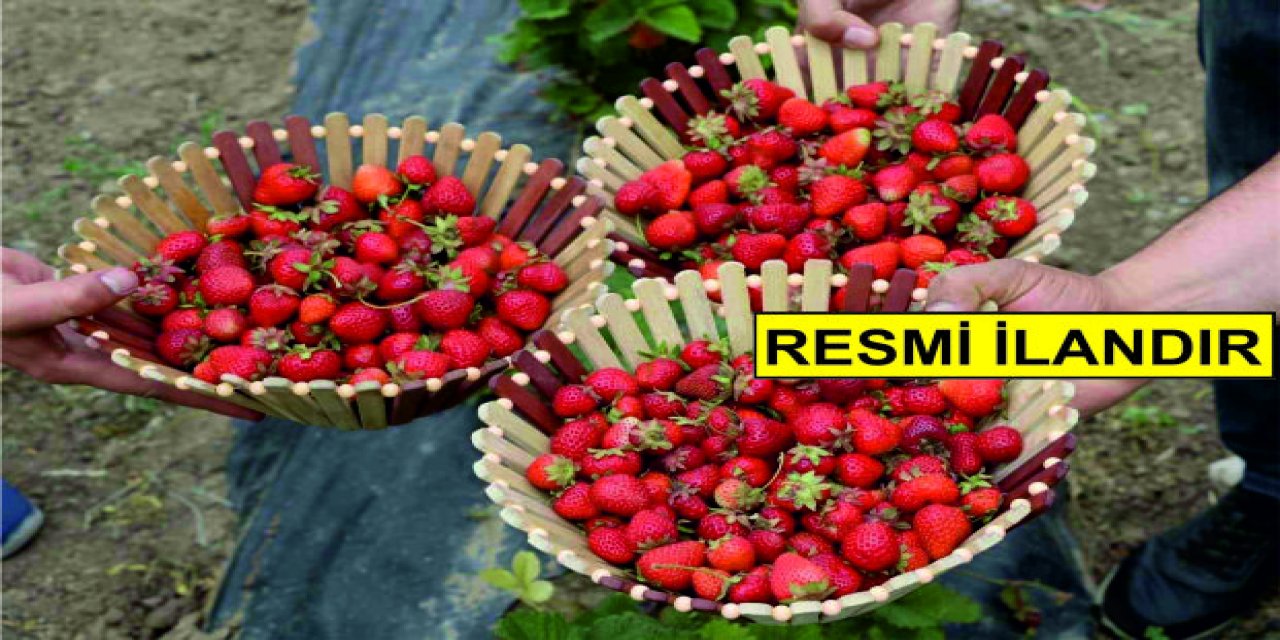 ŞIRNAK İL TARIM VE ORMAN MÜDÜRLÜĞÜ BAHÇE İŞLERİ YAPTIRACAK