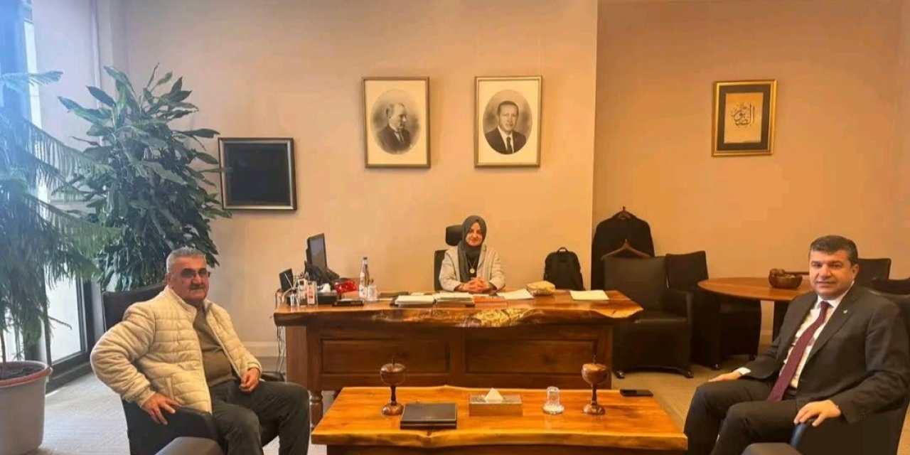 Şırnak TSO Başkanı Geliş, Şırnak’ın Taleplerini Ankara'ya Taşıdı