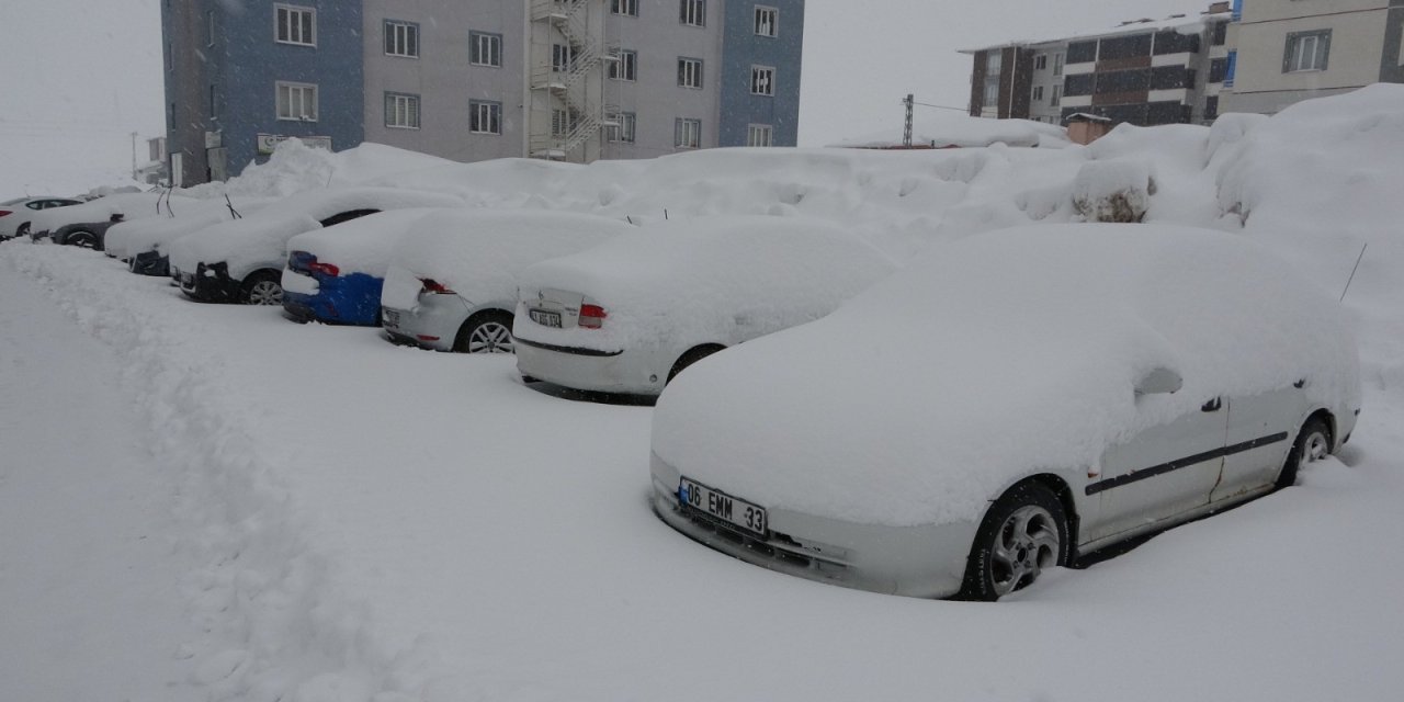 Bitlis'te mart karı 288 köy yolu ulaşıma kapattı
