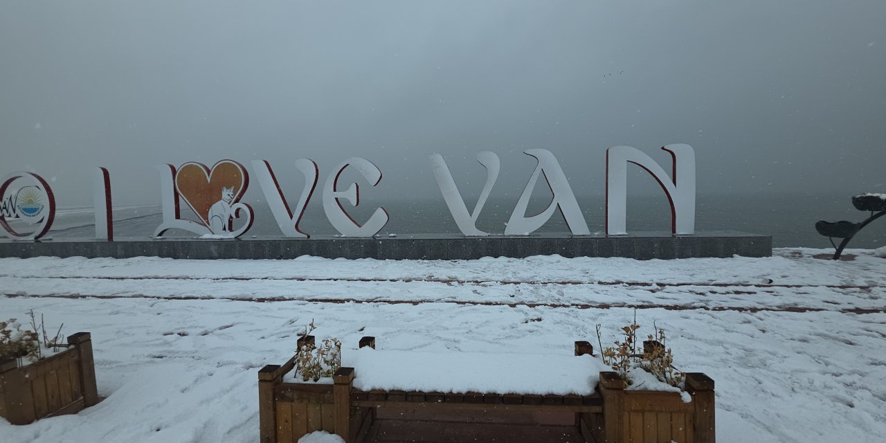 Van’da kar yağışı ve sis etkili oluyor