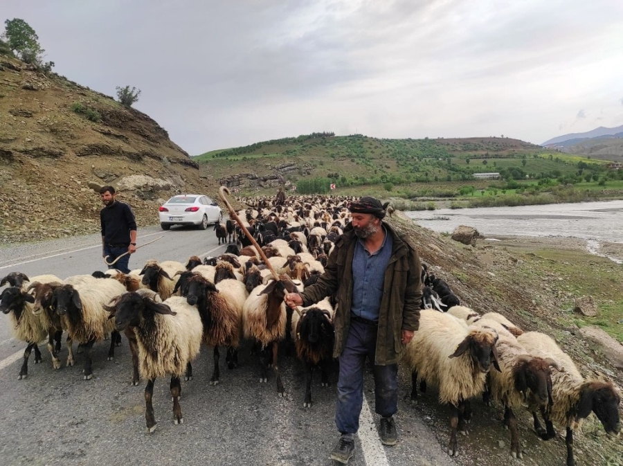 HAVALAR ISINDI, GÖÇERLERİN ZORLU YOLCULUĞU BAŞLADI