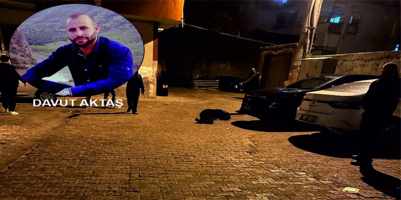 Cizre’de silahlı saldırı olayı aydınlatıldı, saldırgan tutuklandı