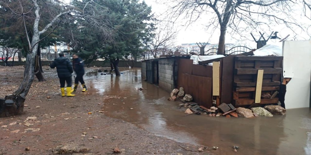 Mardin’de su basan kümeste 5 tavuk telef oldu