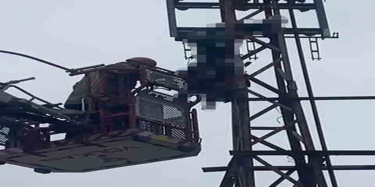 Hırsızlık Girişimi Ölümle Bitti! Elektrik Direğinde Akıma Kapıldı