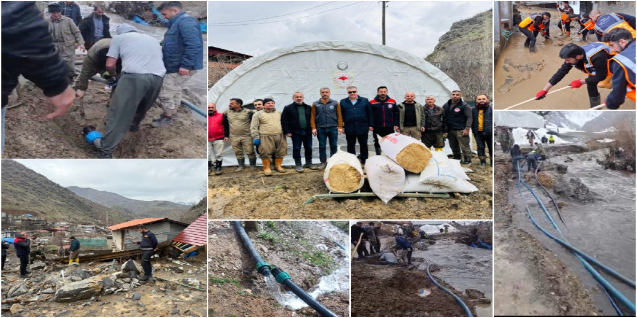 Sel Mağduru Çiftçiye Devlet El Uzattı! Uludere’de Yem ve Çadır Desteği