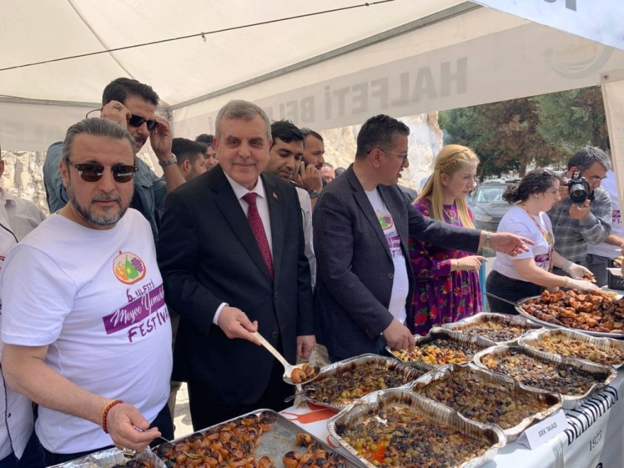 Halfeti’de "Meyve Yemekleri Festivali" Düzenleniyor
