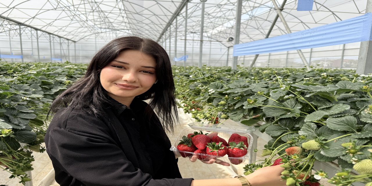 Tarsus'ta "Topraksız" Bereket