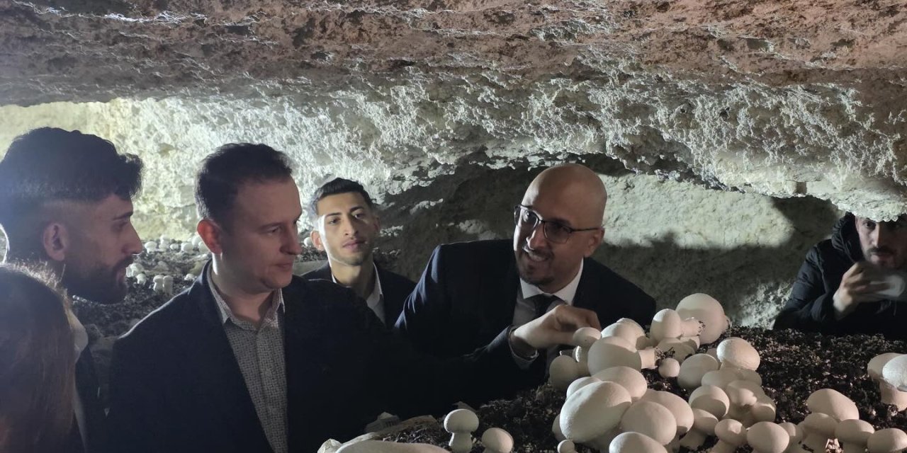 İdil’de Mağarada Kültür Mantarı Üretimi