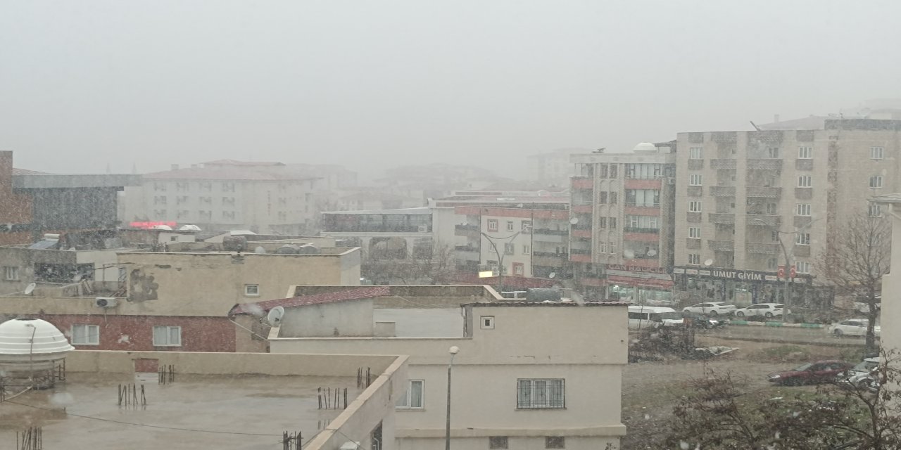 Şırnak Suya Doydu: Kuraklık Yerini Yağışlara Bıraktı