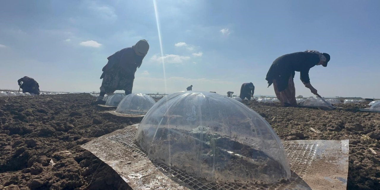 Çiftçi Yağışlar Sonrası Tarlaya İndi