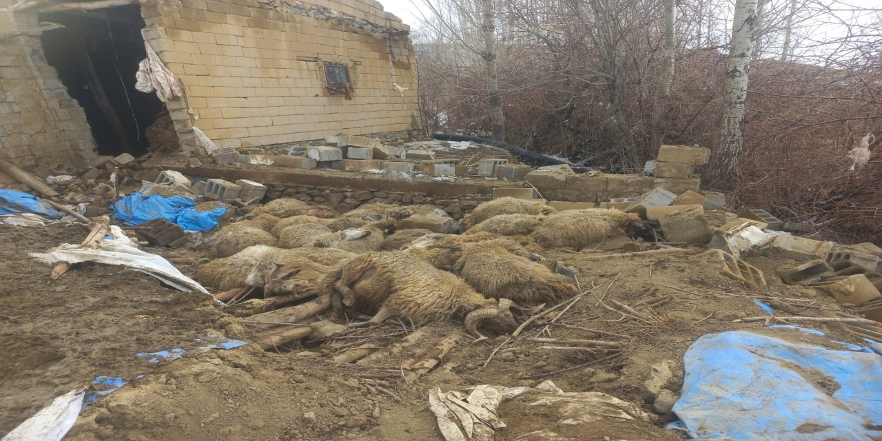 Kar Esareti Besiciyi Vurdu: "Tek Geçim Kaynağım Enkaz Altında Kaldı"