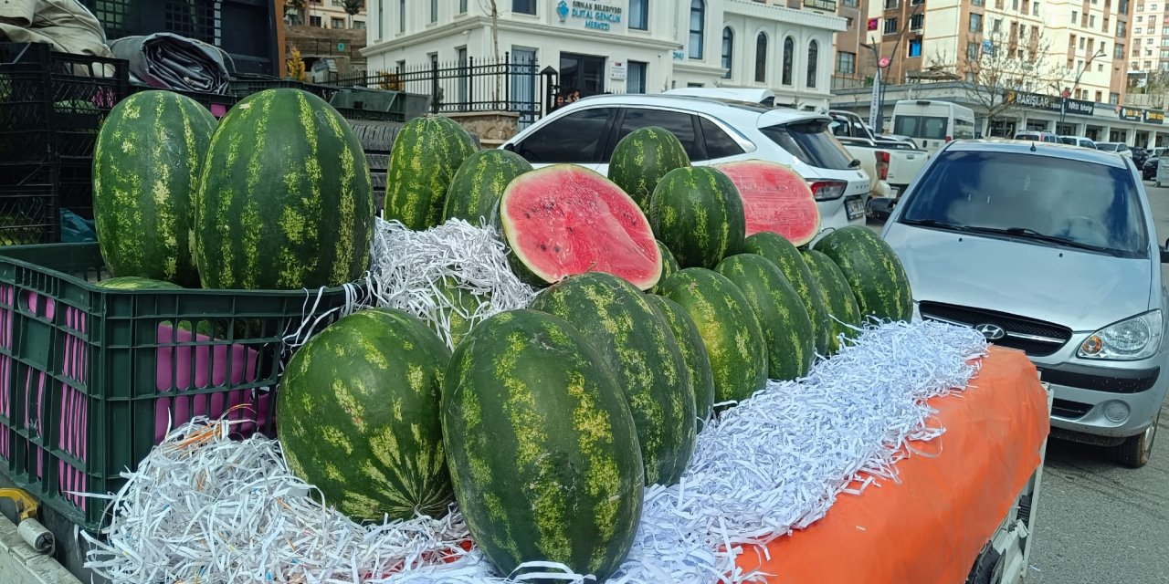 İran Karpuzu Şırnak Tezgahlarında: Yazın Habercisi Erken Geldi