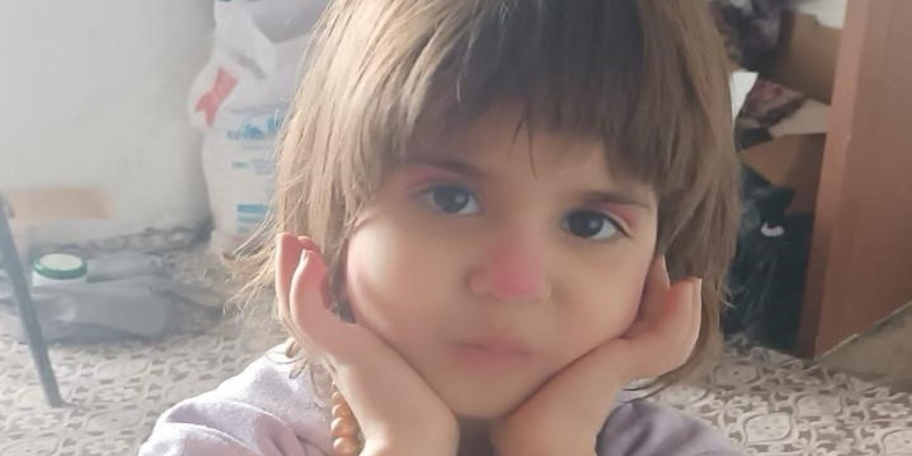 4 Yaşındaki Kız Çocuğu Kayıp: Ekipler Seferber Oldu