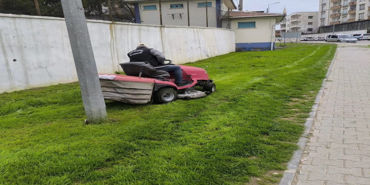 Cizre'de Yeşil Alanlara Bakım Dokunuşu