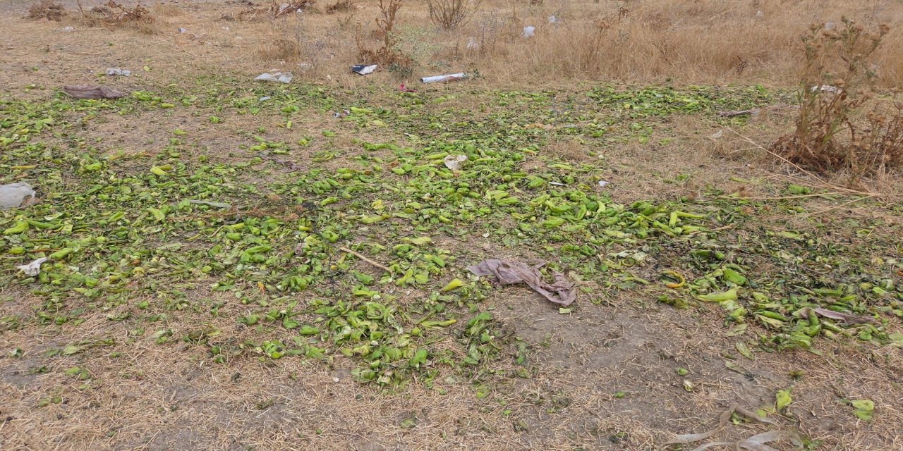 Ticaret Bakanlığı'ndan biber görüntülerine yalanlama