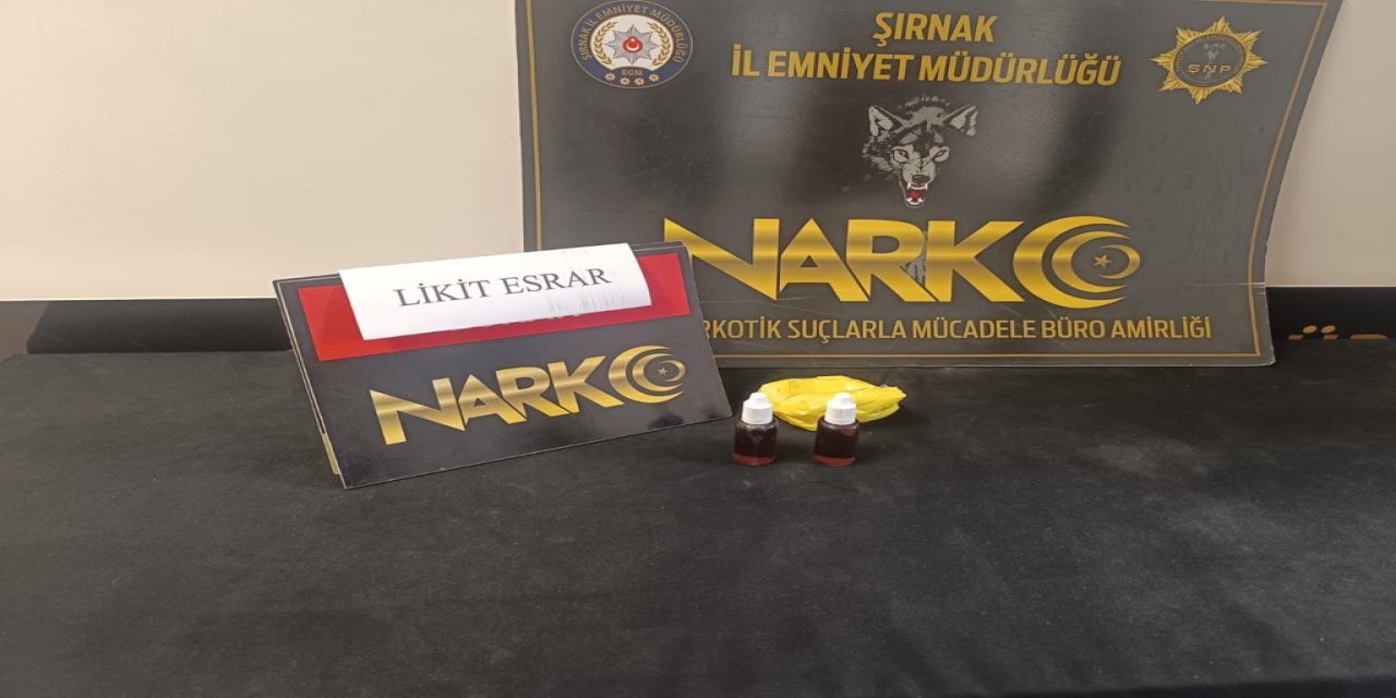 Şırnak’ta Uyuşturucuya Geçit Yok: 14 Yıl Hapis Cezalı Şahıs Yakalandı