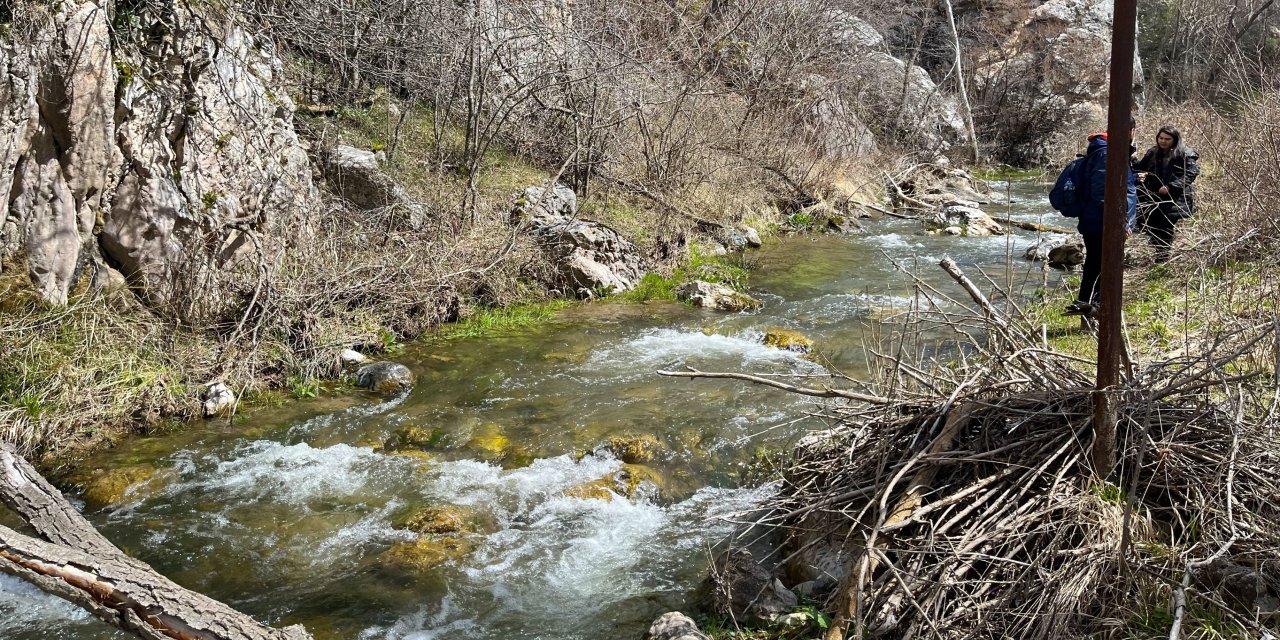 Doğa Severlerin Yeni Gözdesi: Hitit Yolu Baharda Kartpostallık Görüntüler Sunuyor