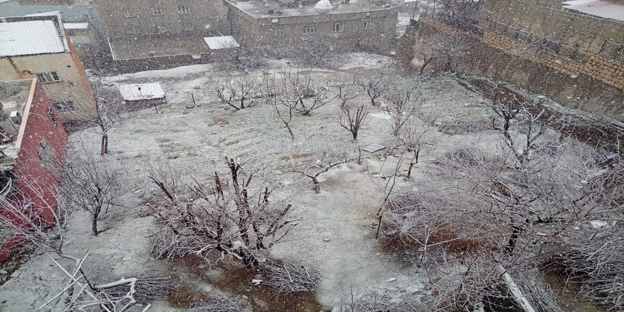 İklim Değişikliği Şırnak’ta Tarımı Vurdu