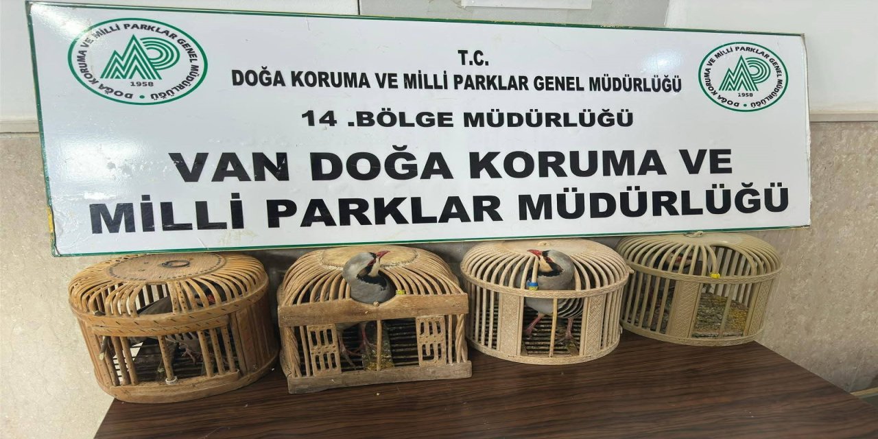 Van’da Kaçak Avcıya 86 Bin Liralık Şok! 4 Keklik İçin Servet Ödeyecek